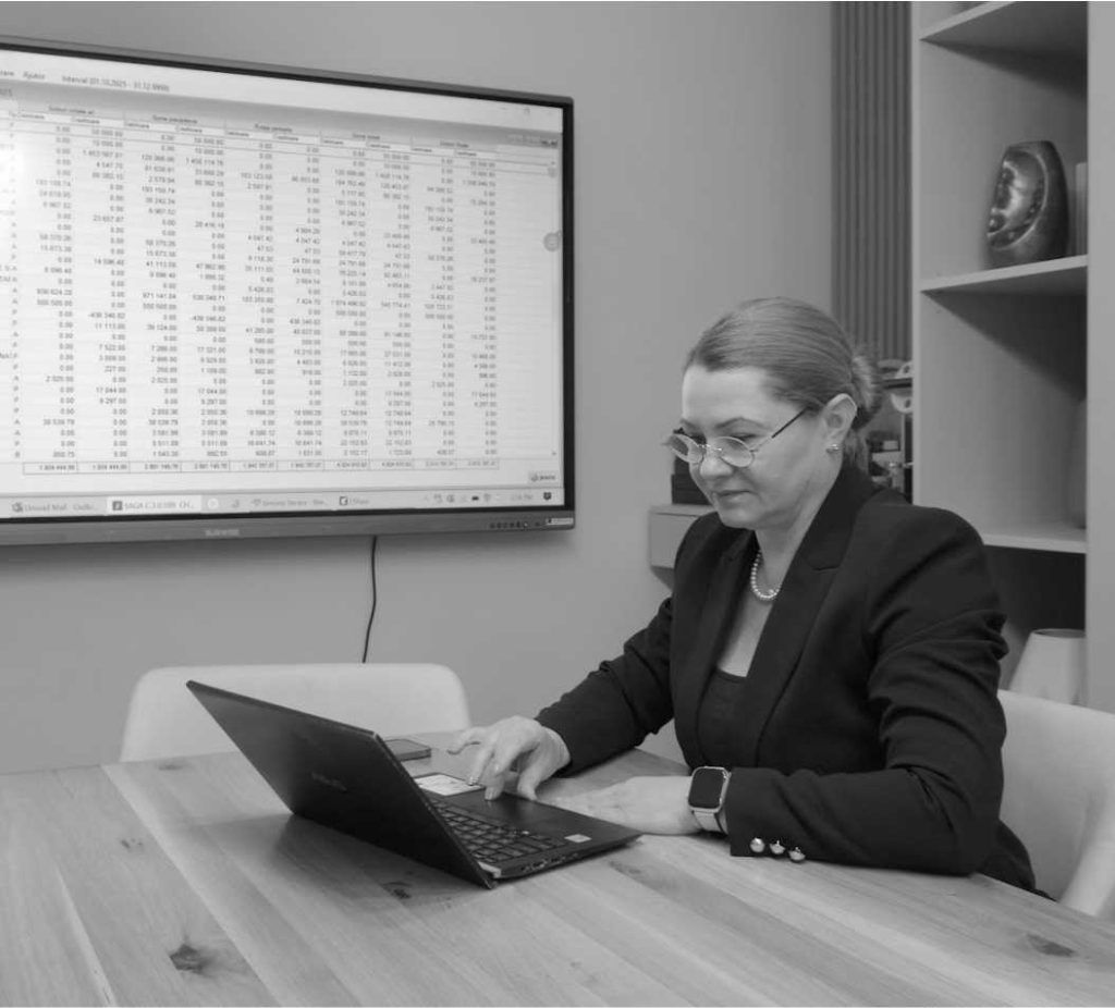 Audit financiar și audit intern oradea